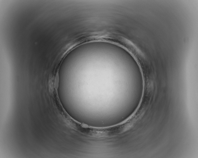 X0000116371361200912021145