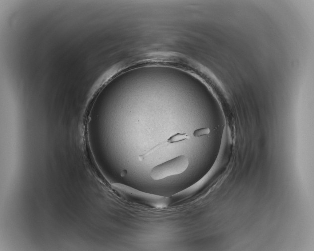 X0000116371362200912021145