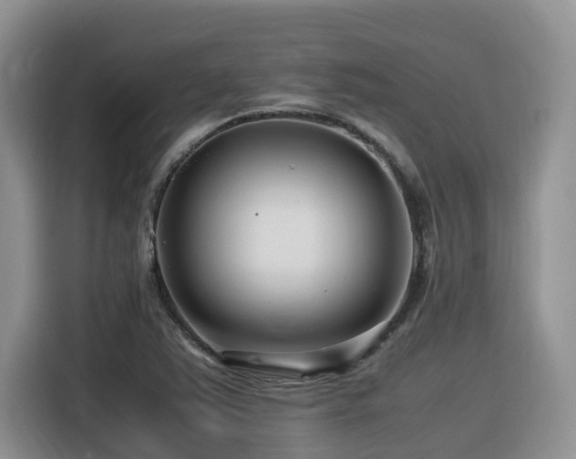 X0000116371363200912021145
