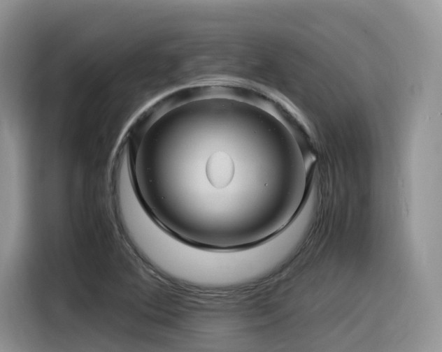 X0000116371364200912021145