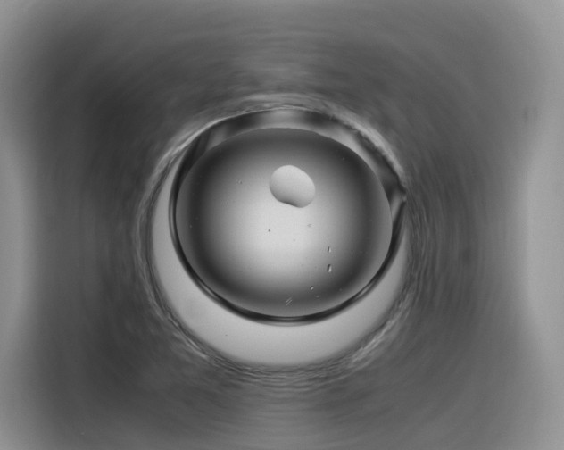 X0000116371365200912021145