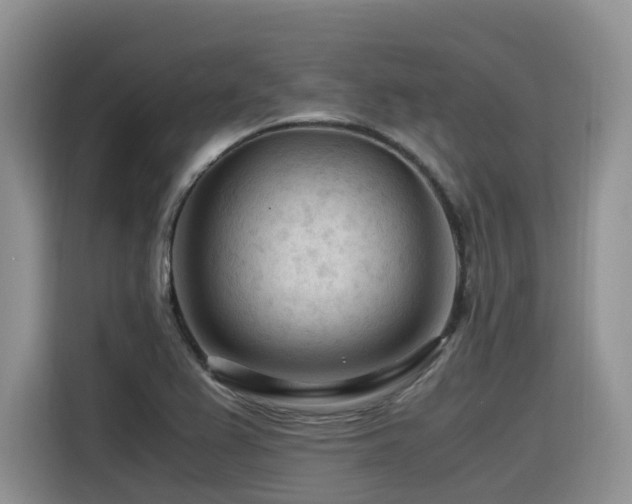 X0000116371367200912021145