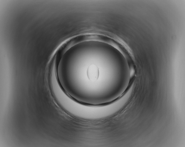 X0000116371368200912021145