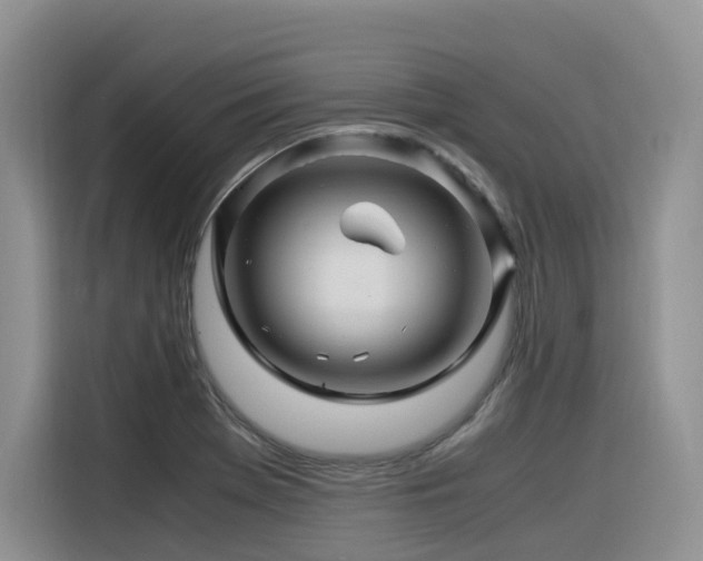 X0000116371369200912021145