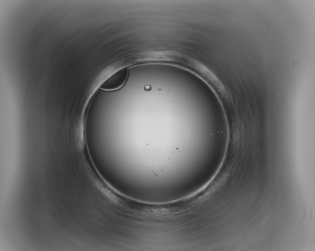 X0000116371370200912021145