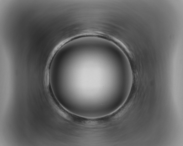 X0000116371371200912021145