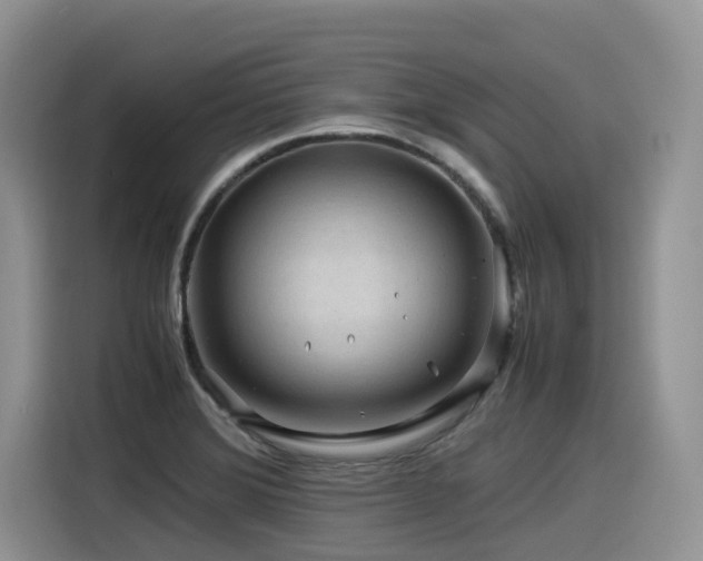 X0000116371372200912021145