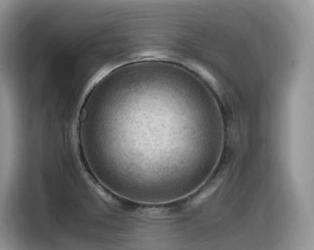 X0000116371373200912021145