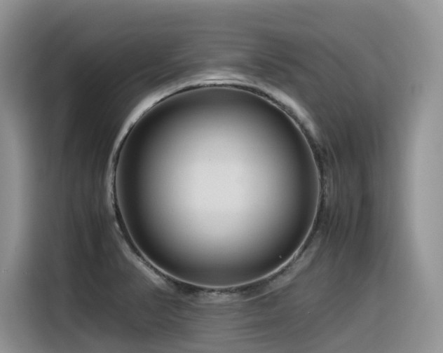 X0000116371374200912021145