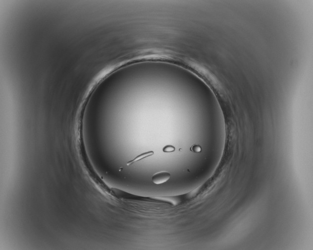 X0000116371375200912021145