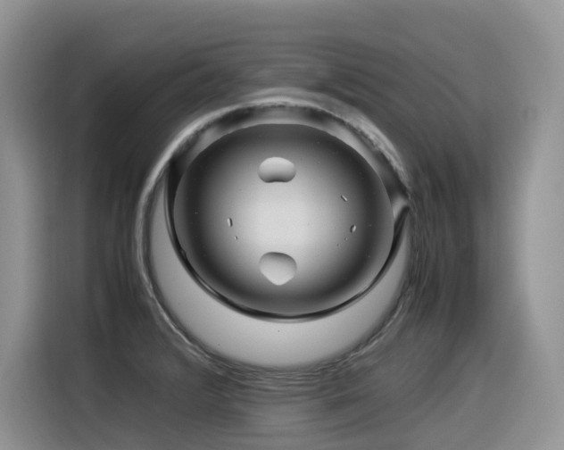 X0000116371376200912021145