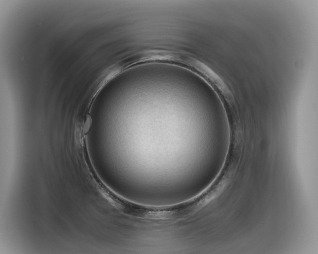 X0000116371377200912021145