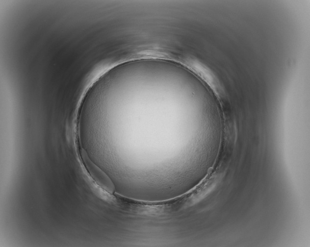 X0000116371381200912021145
