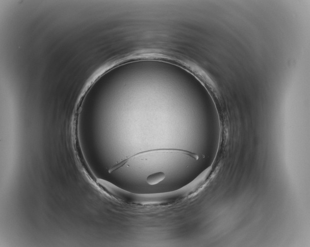 X0000116371382200912021145