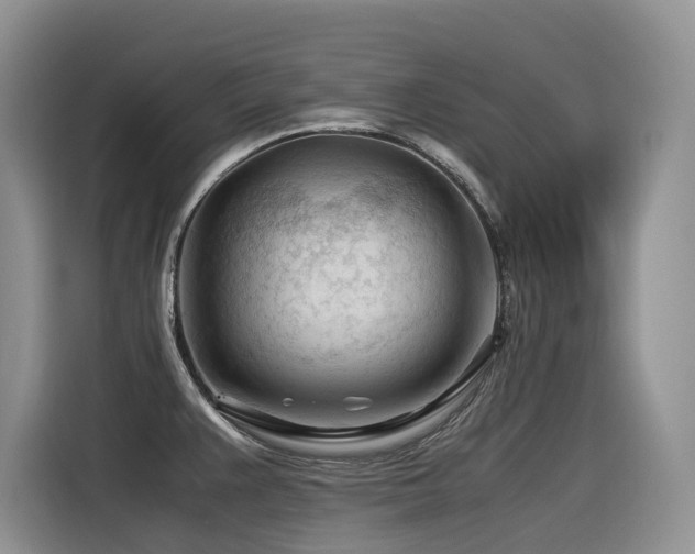 X0000116371383200912021145