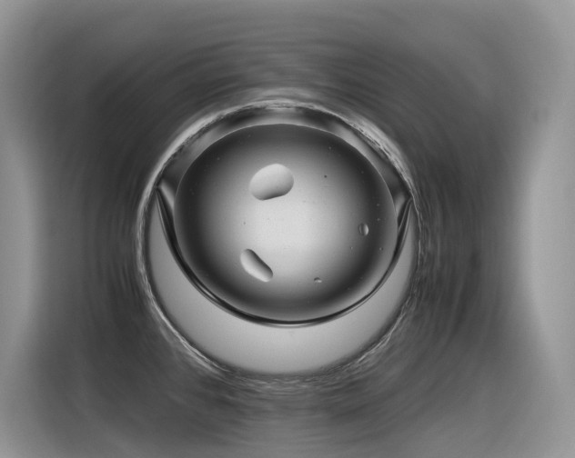 X0000116371384200912021145
