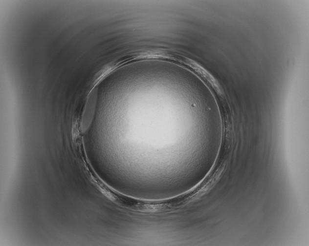 X0000116371385200912021145