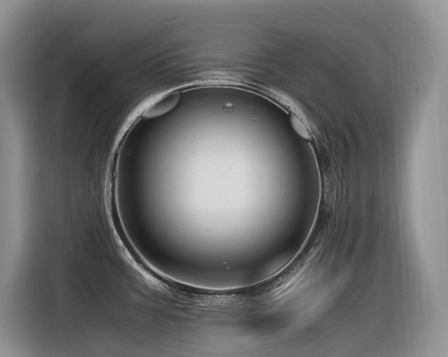 X0000116371387200912021145