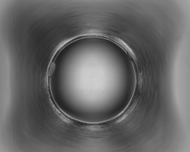 X0000116371388200912021145