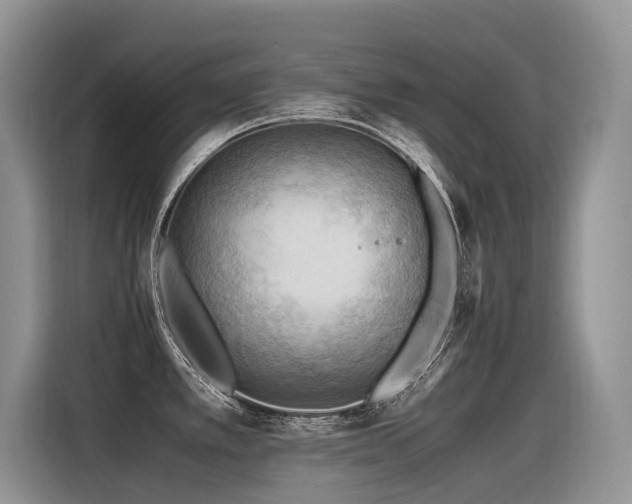 X0000116371389200912021145