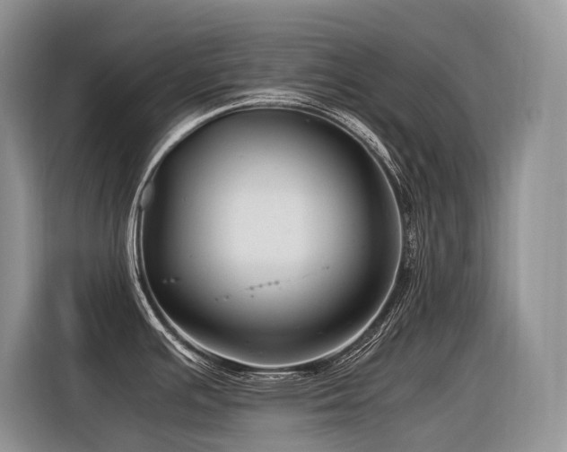 X0000116371391200912021145