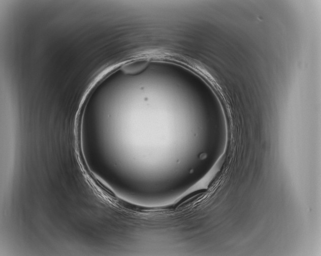 X0000116371392200912021144