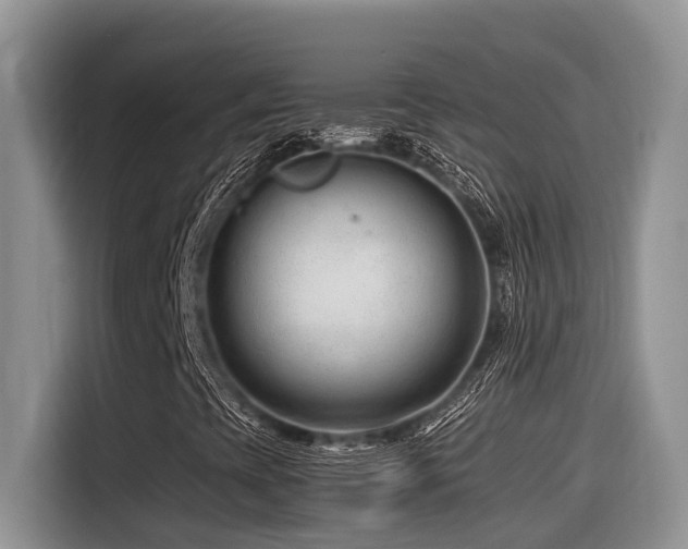 X0000116371393200912021144