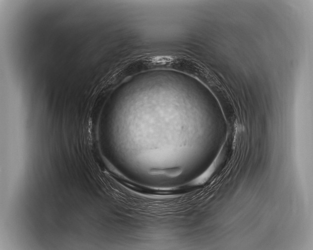 X0000116371394200912021144