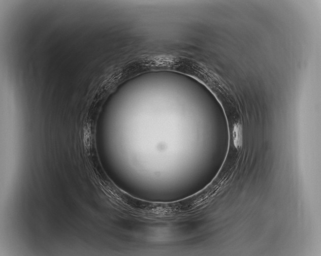 X0000116371395200912021144