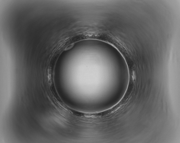 X0000116371396200912021144
