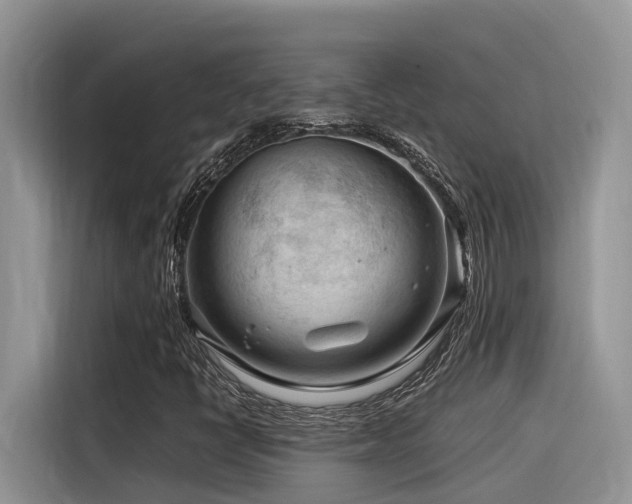 X0000116371398200912021144