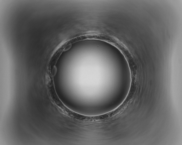 X0000116371400200912021144