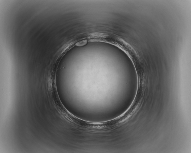 X0000116371401200912021144