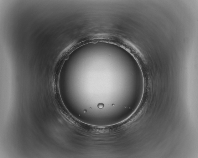 X0000116371403200912021144