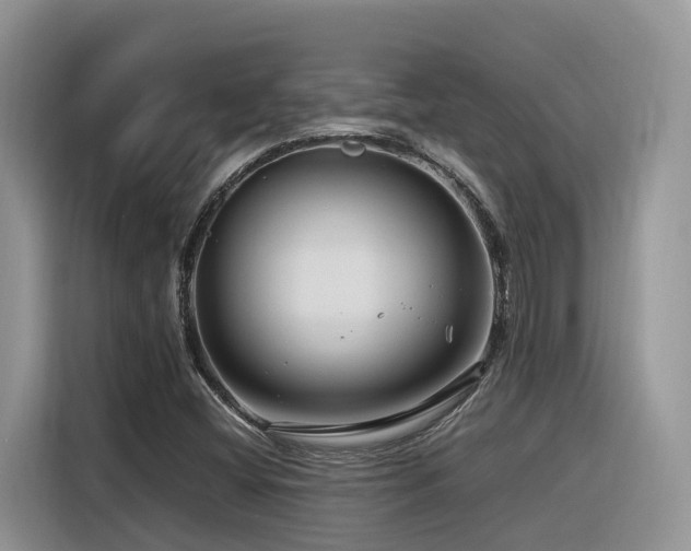 X0000116371404200912021144
