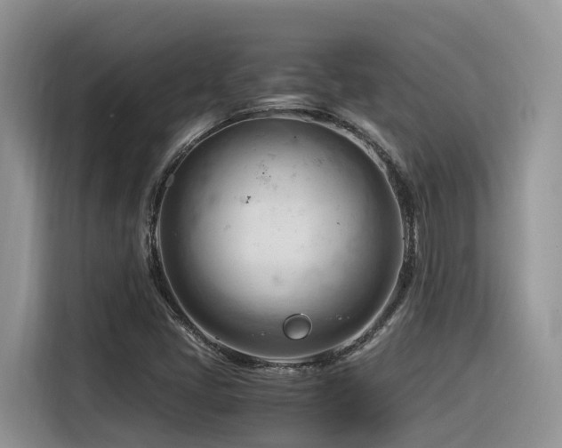 X0000116371405200912021144