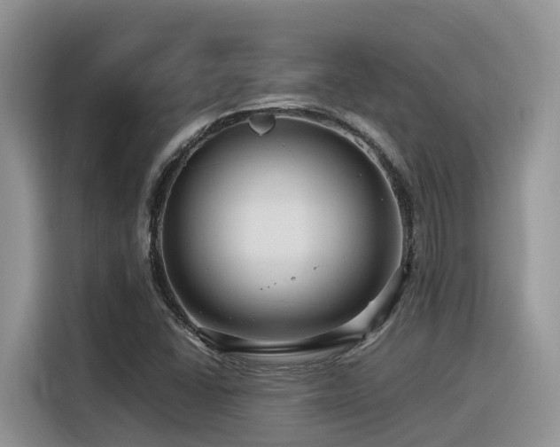 X0000116371406200912021144