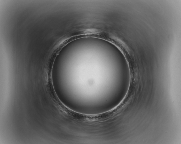 X0000116371407200912021144