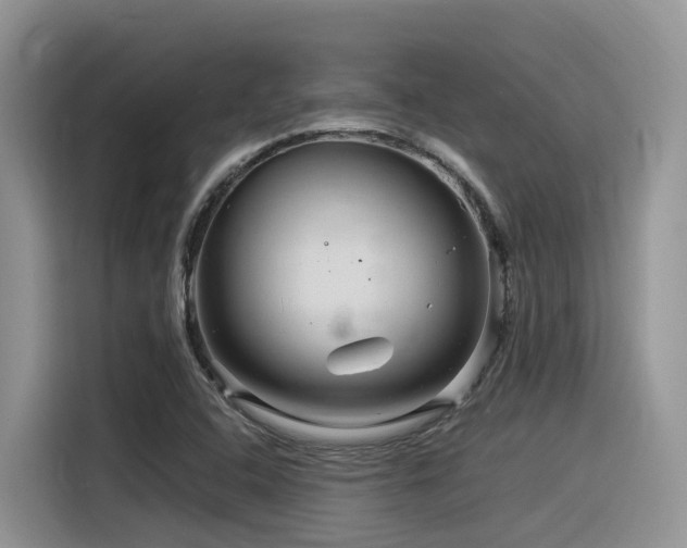 X0000116371408200912021144
