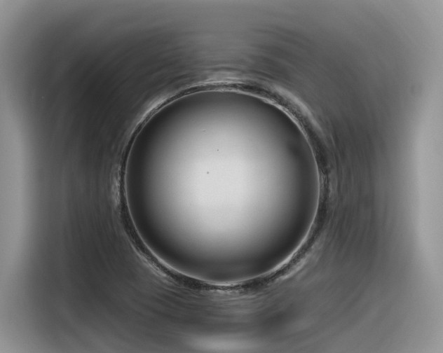 X0000116371409200912021144