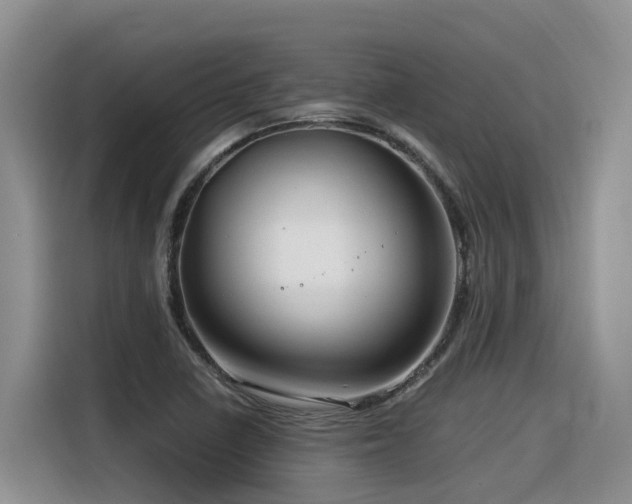 X0000116371410200912021144