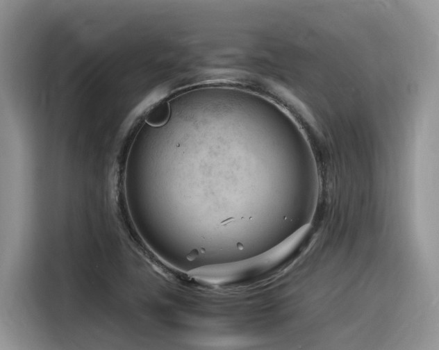 X0000116371411200912021144