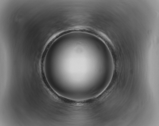 X0000116371412200912021144