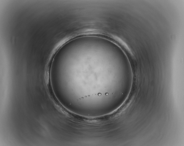 X0000116371413200912021144