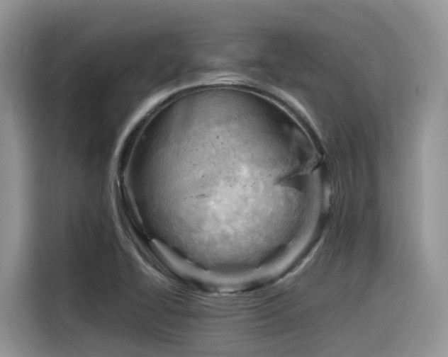 X0000116371414200912021144
