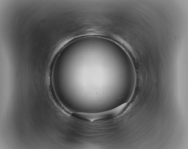X0000116371415200912021144