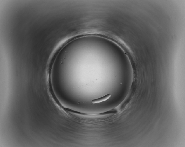 X0000116371416200912021144