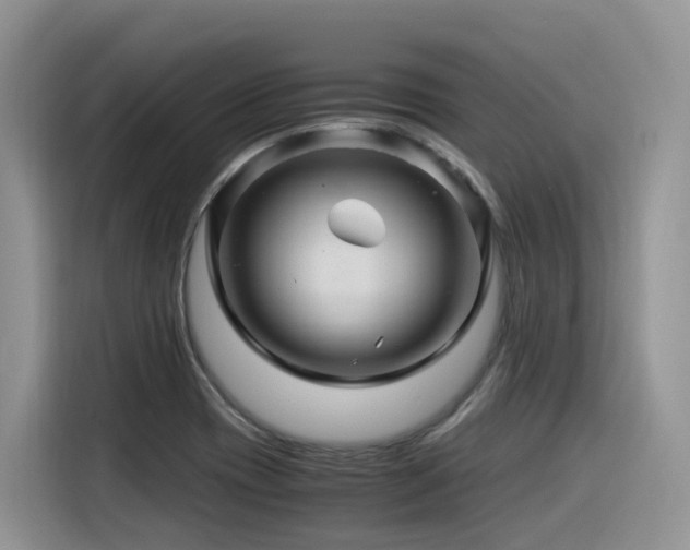 X0000116371417200912021144