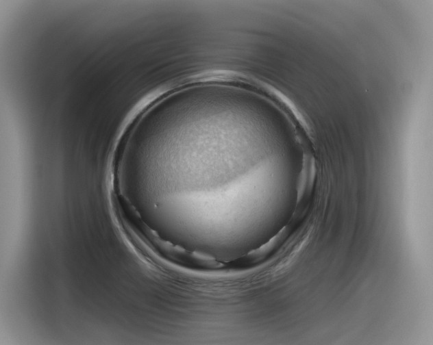 X0000116371418200912021144