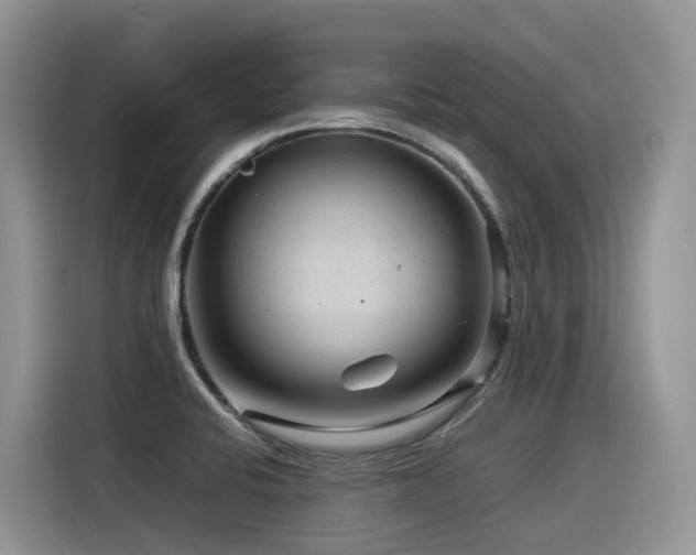 X0000116371424200912021144
